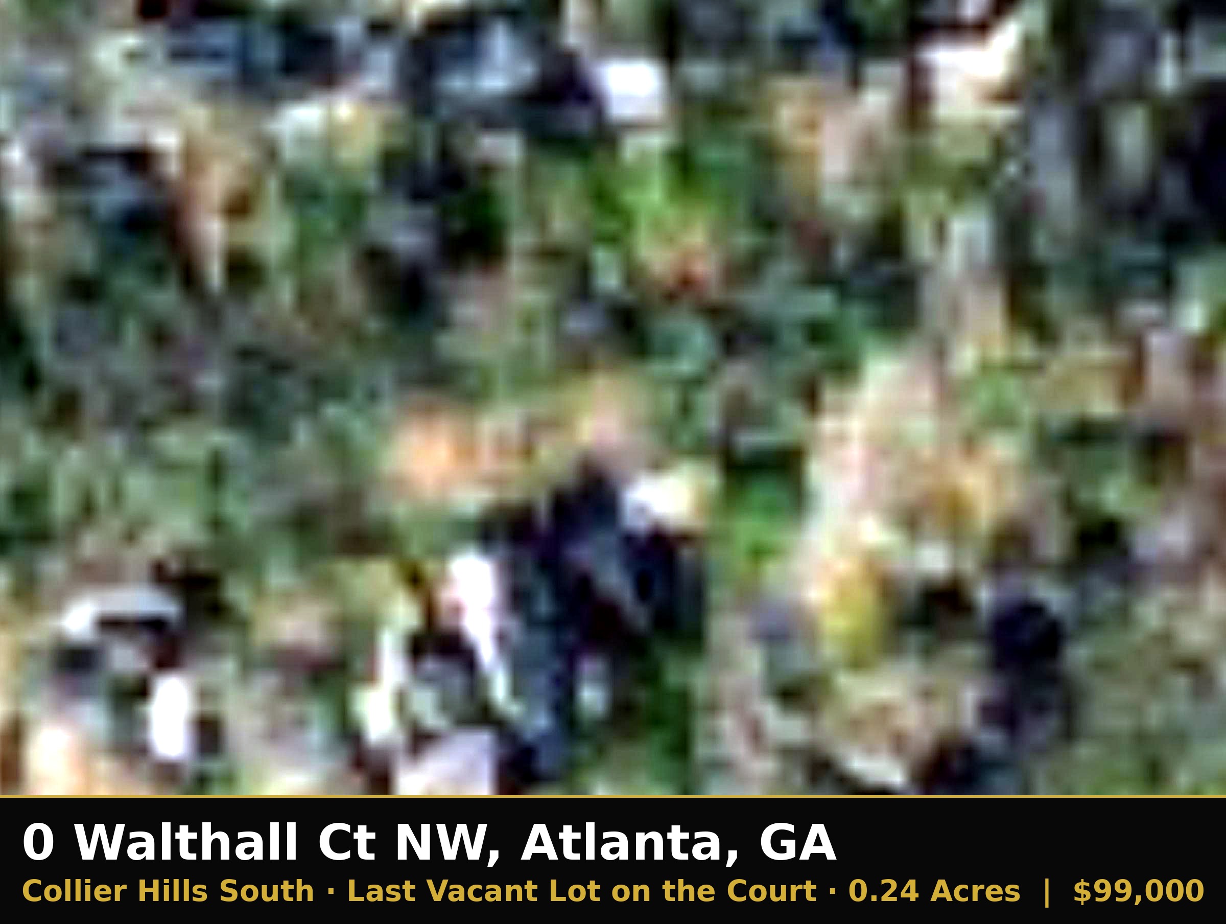 The Last Vacant Lot on Walthall Court