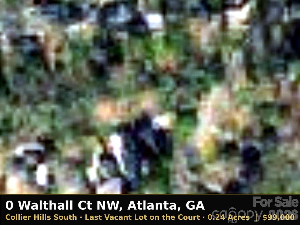 The Last Vacant Lot on Walthall Court