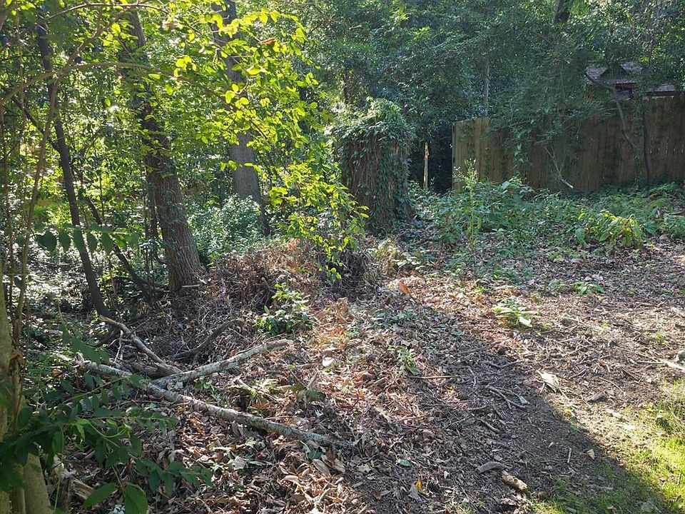 The Last Vacant Lot on Walthall Court