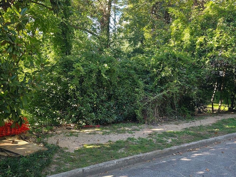 The Last Vacant Lot on Walthall Court