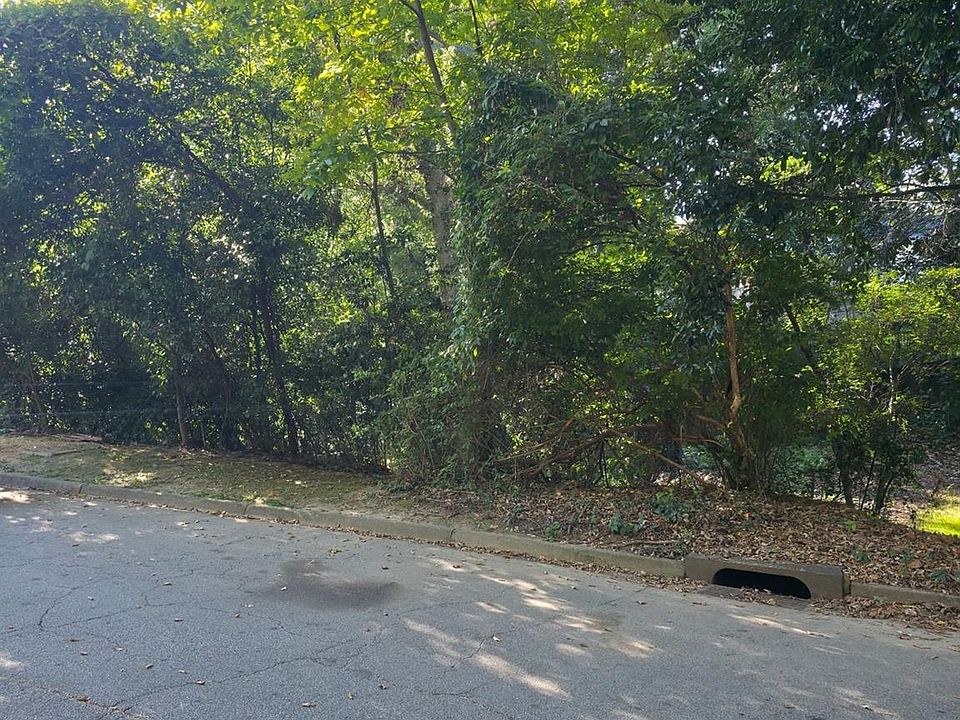 The Last Vacant Lot on Walthall Court