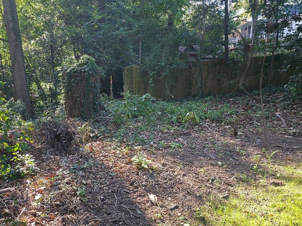 The Last Vacant Lot on Walthall Court