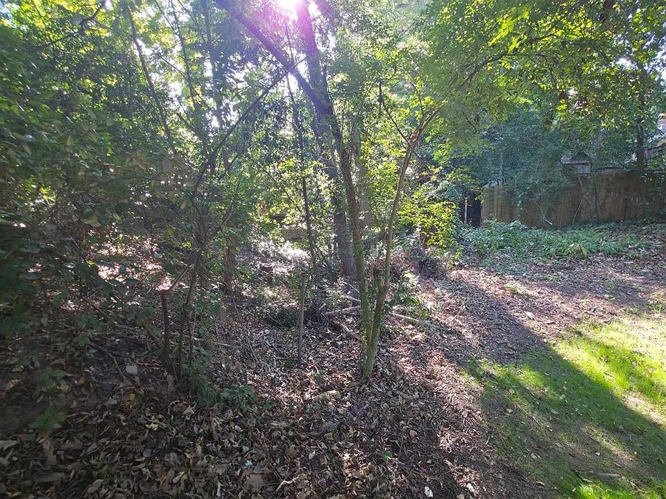 The Last Vacant Lot on Walthall Court