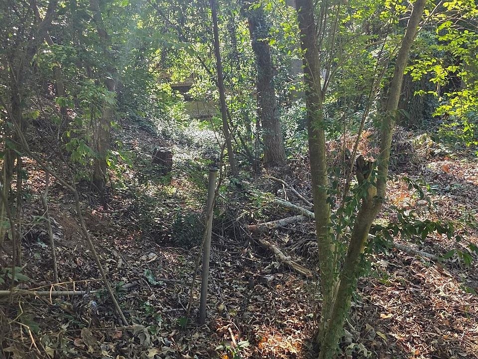 The Last Vacant Lot on Walthall Court