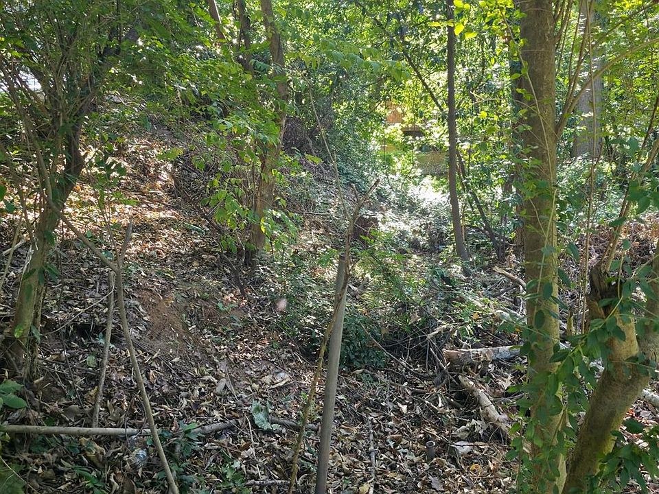 The Last Vacant Lot on Walthall Court