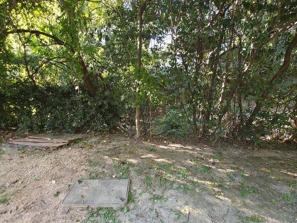 The Last Vacant Lot on Walthall Court
