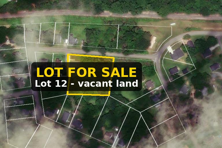 Bring Your Blueprint to Williams Village - Lot 12