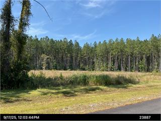 Two Combined Lots, 5+ Acres in Tuscan Landing